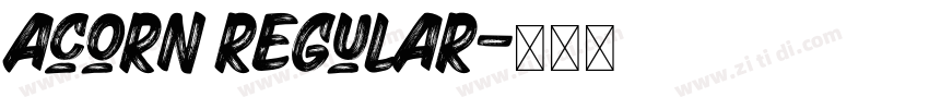 Acorn Regular字体转换